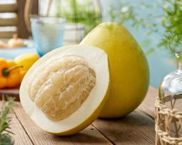 5 Citrus Maxima Pomelo SĖKLOS šviežios sėklos