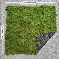 100cm*100cm Articiaifl samanų kilimėlis akvariumo dekoravimui bioninė veja dirbtinės samanos mikro-kraštovaizdžio kompozicija veja bonsai vazoniniai augalai grindinys