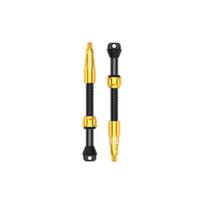 Lezyne CNC TLR PRO ventiliai | 60 mm | Gold