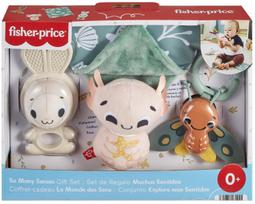 Žaislų rinkinys kūdikiams Mattel Fisher Price So Many Senses, įvairių spalvų, 4 vnt.