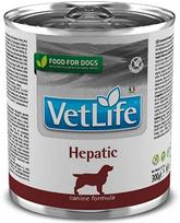 Farmina Vet Life Dog Hepatic 300 g | F033VL0131 | 8606014106381