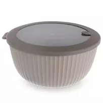 Dubuo su dangčiu 21 cm 2,5 l