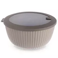 Dubuo su dangčiu 24,5 cm 4 l