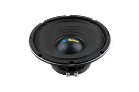 Dibeisi 10-inch Speaker model DBS-PS1005-8