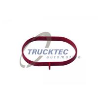 Įsiurbimo kolektoriaus tarpinė TRUCKTEC AUTOMOTIVE 02.16.067