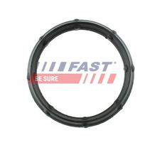 Įsiurbimo kolektoriaus tarpinė FAST FT49424