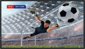Hisense Monitor 86DM66D 86 inches 4K UHD IPS DS Display 24/7