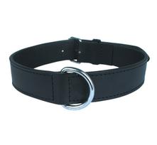 Antkaklis šunims Zolux Leather Lined, juoda sp., 800 mm x 35 mm