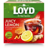 Imbierų, citrinų ir medaus skonio žolelių arbata LOYD WARMING TEA, 20 vnt.