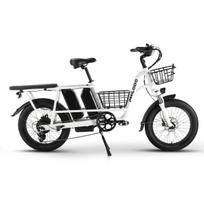 PHILODO Traveller Dvigubos Baterijos Elektrinis Krovininis Dviratis 750W Variklis 48V17.5AH Baterija Sunkiųjų Darbų Elektrinis Dviratis Šokinėjantis Šeimos Transportas Kasdienis Važiavimas Miesto Važiavimas balta