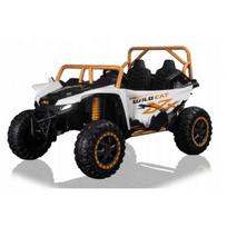 Ramiz Arctic Cat Buggy White