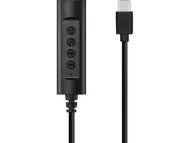 Sandberg 136-73 ausinių su USB-C valdikliu, 1,5 m