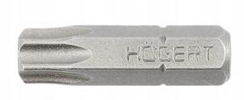 Antgalis Torx T10 25mm, 1 vnt.