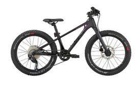 Dviratis 20" Tokee Ultra Lite Rainbow karboninis