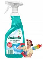 Ludwik stiklo ir veidrodžių plovimo skystis, 750 ml