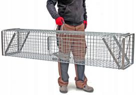 Narvas spąstai, Trizzand 150×34×34 cm