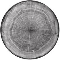 Lėkštė pietų RAK Woodart, Ø 24 cm, pilka sp.