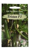Agurkai Tristan F1 Agrimatco