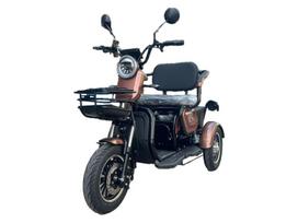 Elektrinis triratis motoroleris M20, Li-ion, rudas