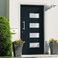vidaXL Priekinės durys antracito spalvos 100x200cm 3056827