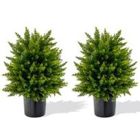 Costway rinkinys iš 2 55 cm dirbtinių augalų su kedro buksmedžio dirbtiniu medžiu namų biurui Green