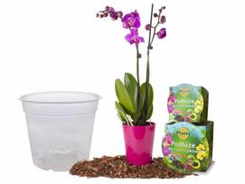 Orchidėjų žemės rinkinys su 1,1 l vazonu