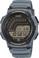 Vyriškas laikrodis Casio WS-1800-2AVEF