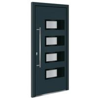 vidaXL Priekinės durys antracito spalvos 100x210cm