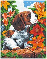 Piešimo rinkinys Betti 30x40