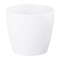 Plastikinio korpuso vazonas baltas 15,5 cm Magnolija
