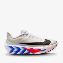 Nike Zoom Fly 6