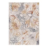 Kilimas 200x290 cm Amara – Universal