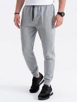 Sportinės kelnės vyrams Ombre V3-OM-PASK-22FW-008 123255-7, pilkos, L