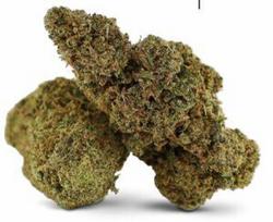 CBD Kanapių Žiedai „GMO Cookies“ – Premium Kokybė