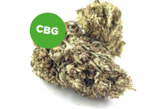 Orange Bud CBG Kanapių Žiedai – Klasikinis Aromatas