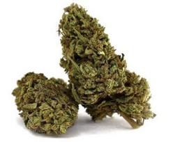CBD Kanapių Žiedai „Godfather OG“ – Premium Kokybė
