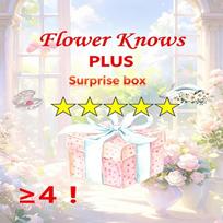 Flower Knows Pilna Serija Makiažo Rinkinys - Šešėliai, Skaistalai, Lūpų Blizgesys, Staigmenos Dovanų Dėžutė - Moteriškas Dovanų Rinkinys PLUS Edition (Mažiausiai 4 vnt.) burnočio rožinė spalva/aero mėlyna spalva