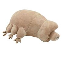 Tardigrada Vandens Lokys Pliušinis Žaislas Realistiška Minkšta Gyvūno Kimštinė Lėlė Puiki Pagalvė Dovana Biologijos Entuziastams Vaikams Namų Dekoravimas 1pc