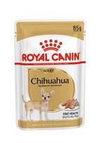 Chihuahua drėgnas pašaras šuniui
