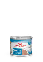 Royal Canin Starter Mother & Babydog - Ultra Soft Mousse - Drėgnas pašaras šuniui