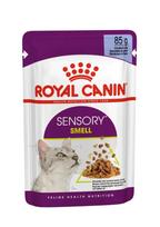 ROYAL CANIN Sensory Smell Chunks In Jelly - Drėgnas Pašaras Suaugusioms Katėms 12x85g