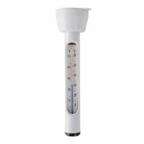 Intex: Baseino termometras
