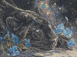 Kryželiu siuvinėjimo rinkinys „Žvaigždėti sapnai“ 37x27 cm