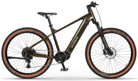 Elektrinis dviratis Ecobike SX300 Green V2 900Wh