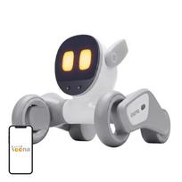 Loona Premium Interactive Robot, LIIOLN99902CK00017