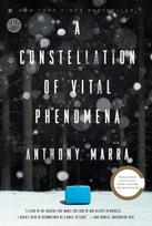 A Constellation of Vital Phenomena