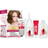 L’Oréal Paris Excellence Creme plaukų dažai atspalvis 5.3 Natural Golden Brown 1 vnt.