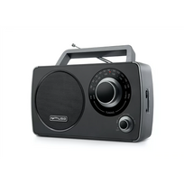Radijas Muse M-075 R, AUX in