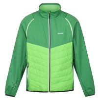 Regatta vyriškas hibridinis softshell striukė Steren M
