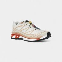 Salomon XT-6 Gore-Tex Migdolų pienas Minkštas molis 43 1/3 smėlis